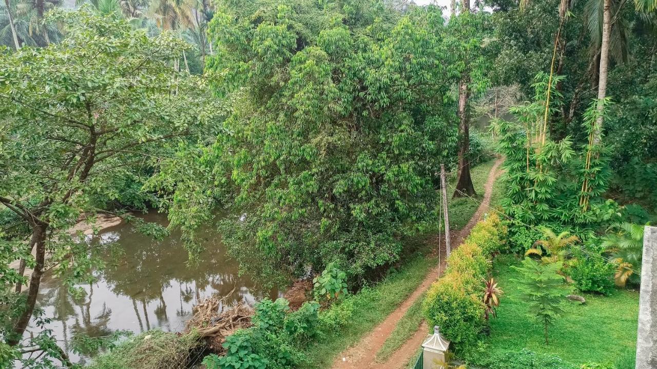 Hotel Athirapilly On The Rocks à Athirappilly Extérieur photo