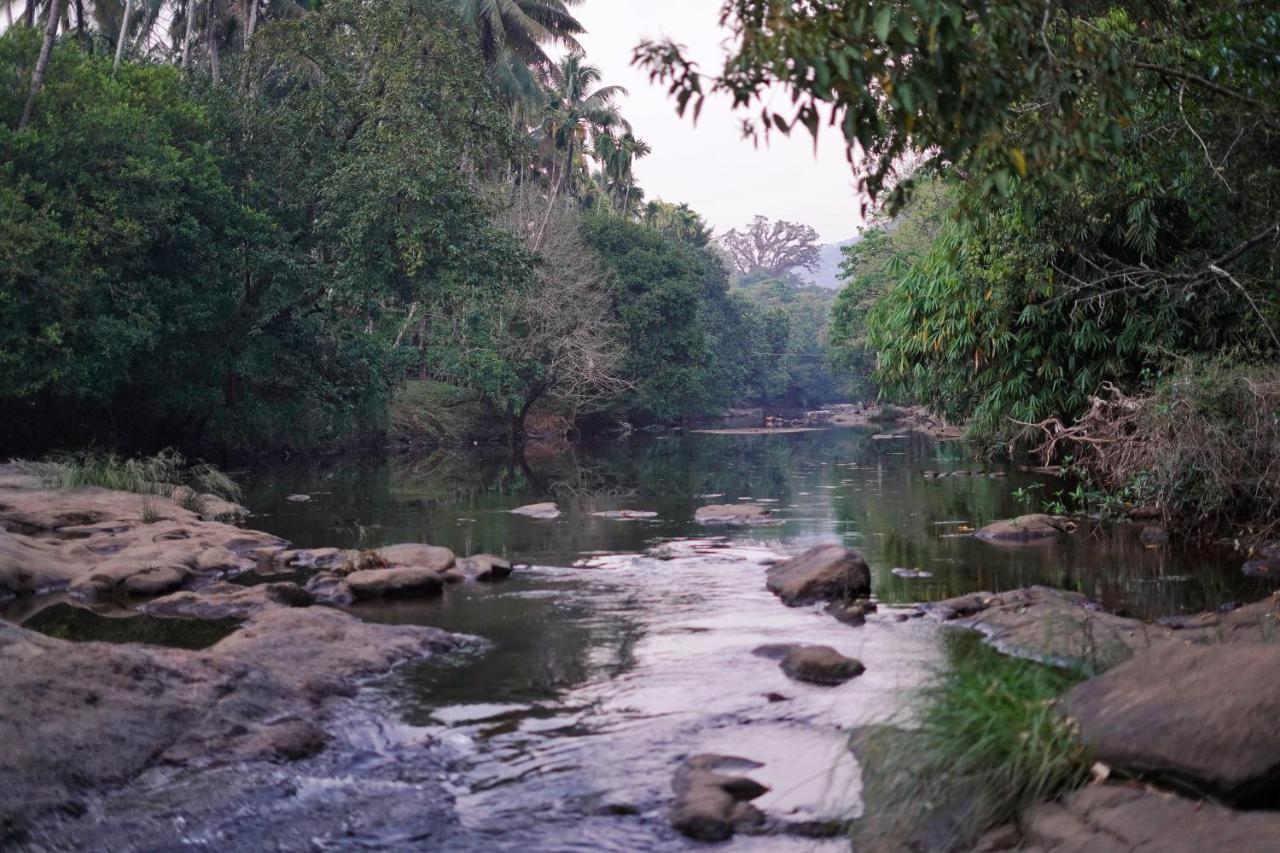 Hotel Athirapilly On The Rocks à Athirappilly Extérieur photo