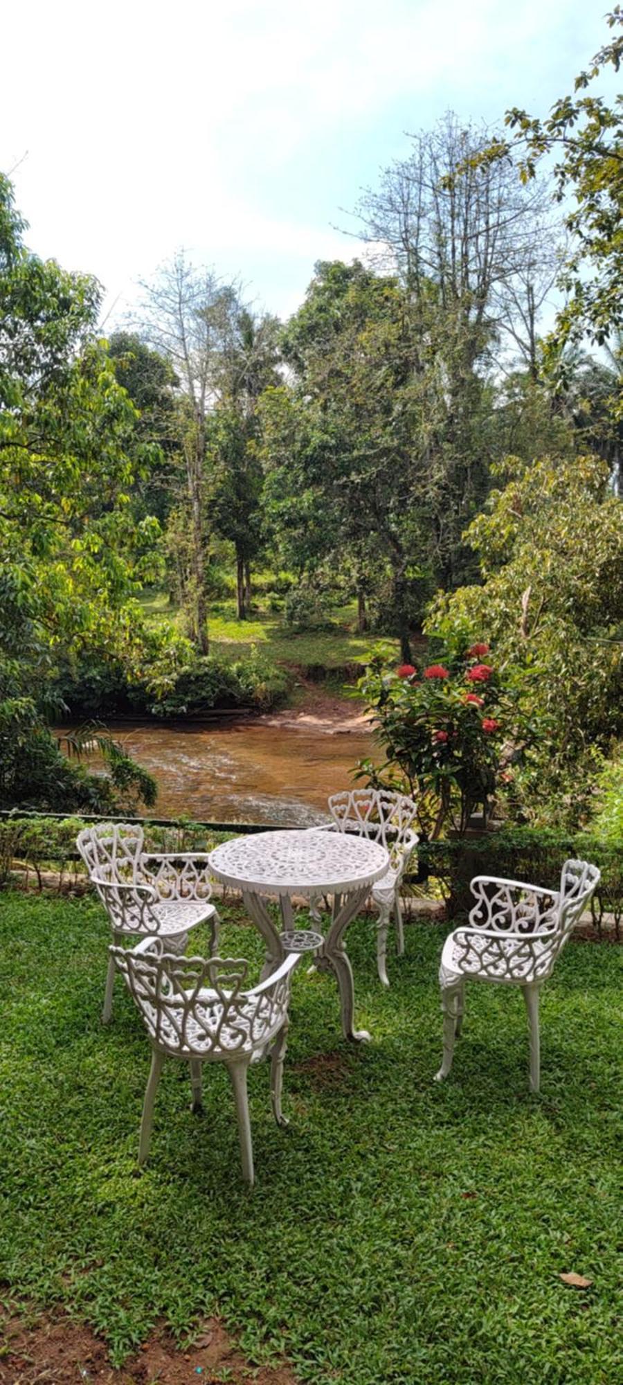 Hotel Athirapilly On The Rocks à Athirappilly Extérieur photo