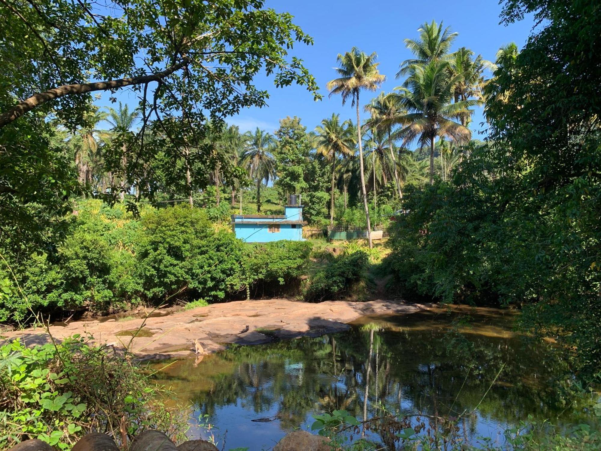 Hotel Athirapilly On The Rocks à Athirappilly Extérieur photo
